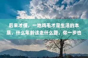 后来才懂，一地鸡毛才是生活的本质，什么年龄该走什么路，你一步也别想逃
