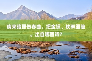 晓来暗理伤春曲，把金钗、枕畔细敲。出自哪首诗？