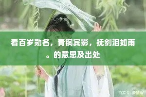 看百岁勋名，青铜宾影，抚剑泪如雨。的意思及出处