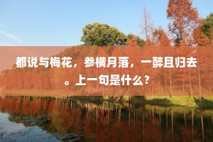 都说与梅花，参横月落，一醉且归去。上一句是什么？