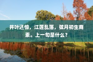 井叶还惊，江莲乱落，弦月初生商素。上一句是什么？