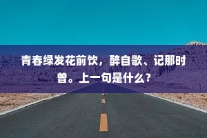 青春绿发花前饮，醉自歌、记那时曾。上一句是什么？