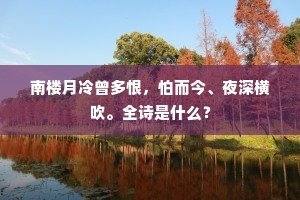 南楼月冷曾多恨，怕而今、夜深横吹。全诗是什么？