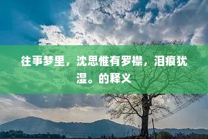 往事梦里，沈思惟有罗襟，泪痕犹湿。的释义