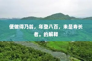 便做得乃翁，年登八百，未是寿长者。的解释