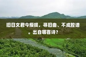 旧日文君今瘦损，寻旧曲、不成腔谱。出自哪首诗？