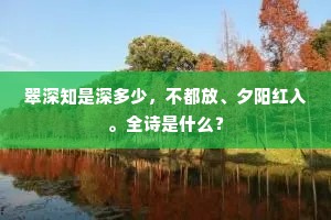 翠深知是深多少，不都放、夕阳红入。全诗是什么？