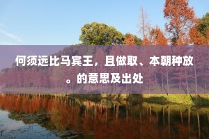 何须远比马宾王，且做取、本朝种放。的意思及出处