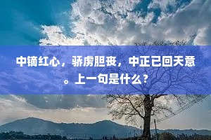 中镝红心，骄虏胆丧，中正已回天意。上一句是什么？
