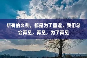 所有的久别，都是为了重逢，我们总会再见，再见，为了再见