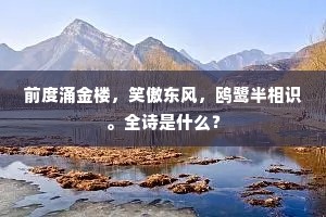 前度涌金楼，笑傲东风，鸥鹭半相识。全诗是什么？