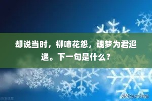 却说当时，柳啼花怨，魂梦为君迢递。下一句是什么？