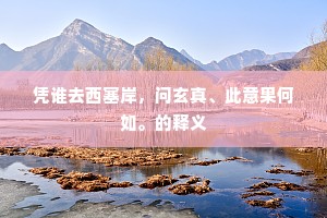 凭谁去西塞岸，问玄真、此意果何如。的释义