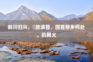 斜川归兴，翛然满目，回首帝乡何处。的释义