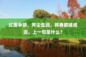 红雨争妍，芳尘生润，将春都揉成泥。上一句是什么？