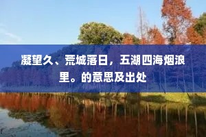 凝望久、荒城落日，五湖四海烟浪里。的意思及出处