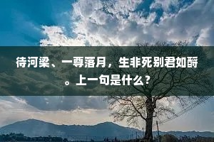 待河梁、一尊落月，生非死别君如酹。上一句是什么？