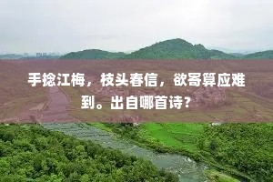 手捻江梅，枝头春信，欲寄算应难到。出自哪首诗？