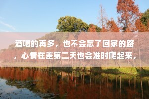 酒喝的再多，也不会忘了回家的路，心情在差第二天也会准时爬起来，如果你问我是什么样的人，回答不了了。半生已过，尽力了太多，改变了性格，学会了沉默。