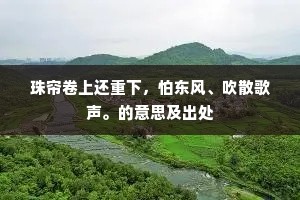 珠帘卷上还重下，怕东风、吹散歌声。的意思及出处