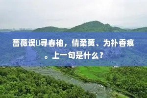蔷薇误罥寻春袖，倩柔荑、为补香痕。上一句是什么？
