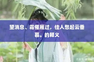 望消息、霜催雁过，佳人愁起云垂暮。的释义