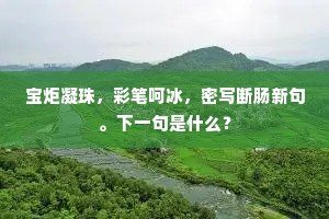 宝炬凝珠，彩笔呵冰，密写断肠新句。下一句是什么？
