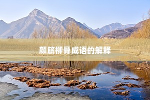 颜筋柳骨成语的解释