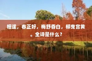相逢，春正好，梅舒香白，柳曳宫黄。全诗是什么？