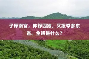 子厚南宫，仲舒四掖，又报岑参东省。全诗是什么？