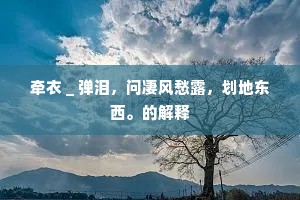 牵衣＿弹泪，问凄风愁露，划地东西。的解释