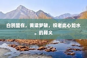 白鸥盟在，黄粱梦破，投老此心如水。的释义