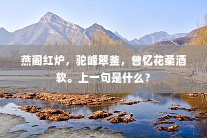 燕阁红炉，驼峰翠釜，曾忆花柔酒软。上一句是什么？