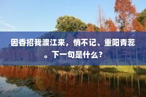 因香招我渡江来，悄不记、重阳青蕊。下一句是什么？