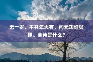无一岁、不书年大有，问元功谁燮理。全诗是什么？
