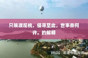 只唤渡观桃，侵寻至此，世事奈何许。的解释