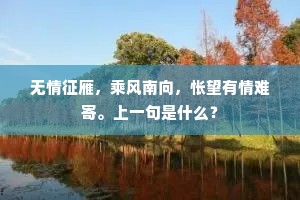 无情征雁，乘风南向，怅望有情难寄。上一句是什么？