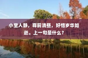 小堂人静，尊前清昼，好惜岁华如逝。上一句是什么？