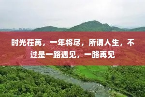 时光茌苒，一年将尽，所谓人生，不过是一路遇见，一路再见
