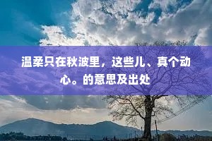 温柔只在秋波里，这些儿、真个动心。的意思及出处