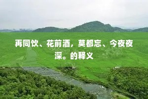再同饮、花前酒，莫都忘、今夜夜深。的释义
