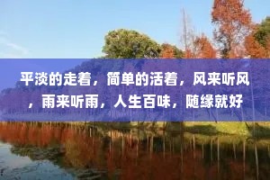 平淡的走着，简单的活着，风来听风，雨来听雨，人生百味，随缘就好