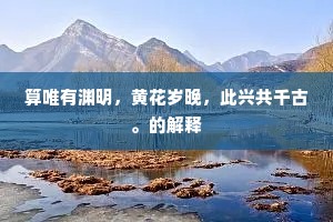 算唯有渊明，黄花岁晚，此兴共千古。的解释