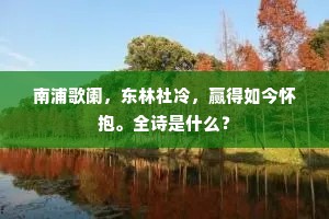 南浦歌阑，东林社冷，赢得如今怀抱。全诗是什么？