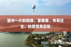 望中一片斜阳静，更萋萋、芳草还生。的意思及出处