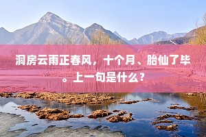 洞房云雨正春风，十个月、胎仙了毕。上一句是什么？
