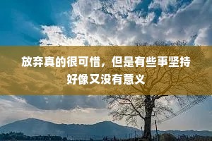 放弃真的很可惜，但是有些事坚持好像又没有意义