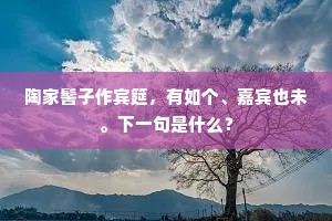 陶家髻子作宾筵，有如个、嘉宾也未。下一句是什么？