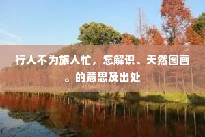 行人不为旅人忙，怎解识、天然图画。的意思及出处
