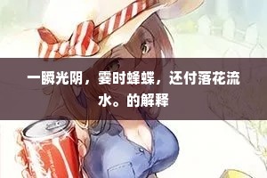 一瞬光阴，霎时蜂蝶，还付落花流水。的解释